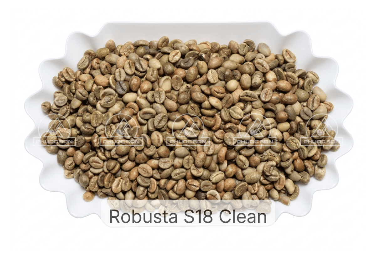 Robusta Grade 1 - R18 Clean